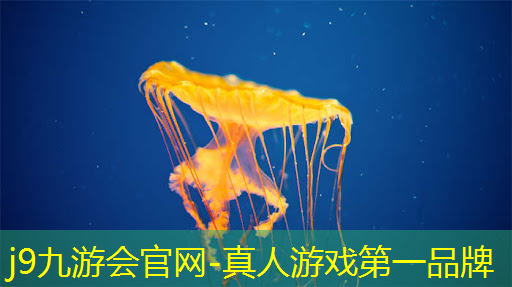 游戏设计专业学原画嘛